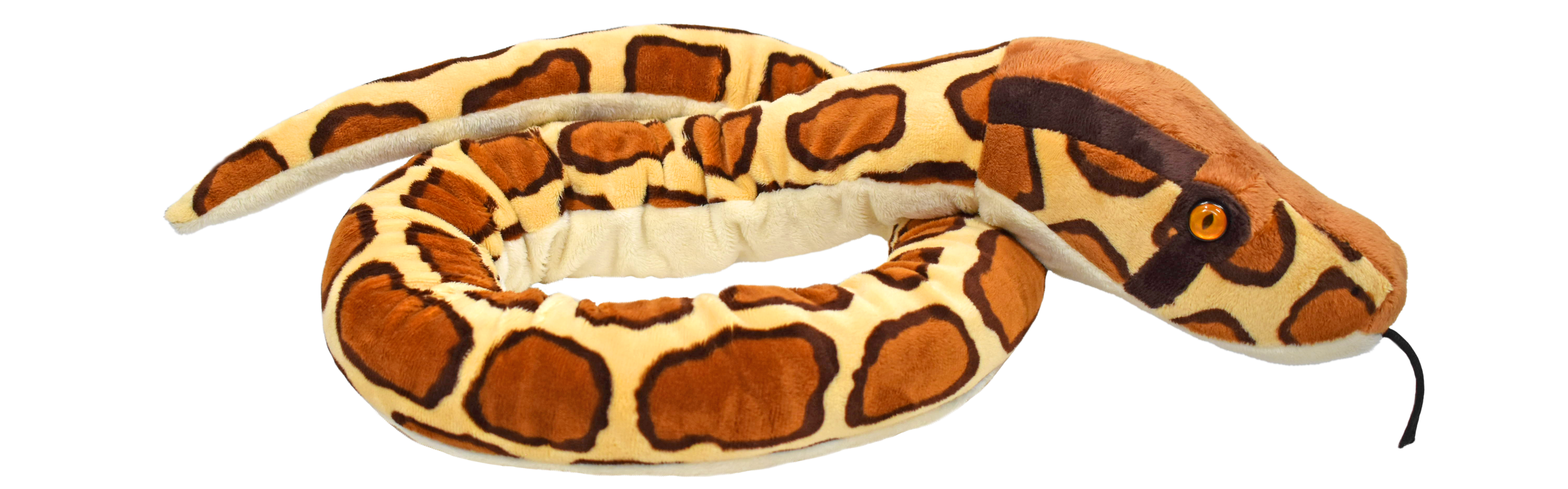 54" Burmese Python 1