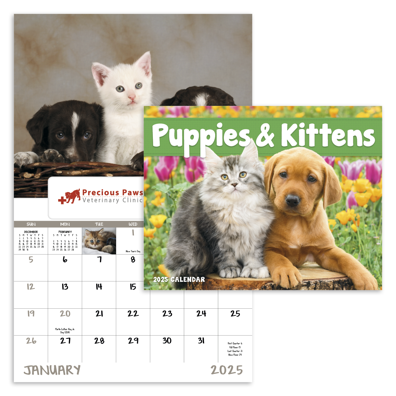 Good Value™ Puppies & Kittens - Window Calendar 10