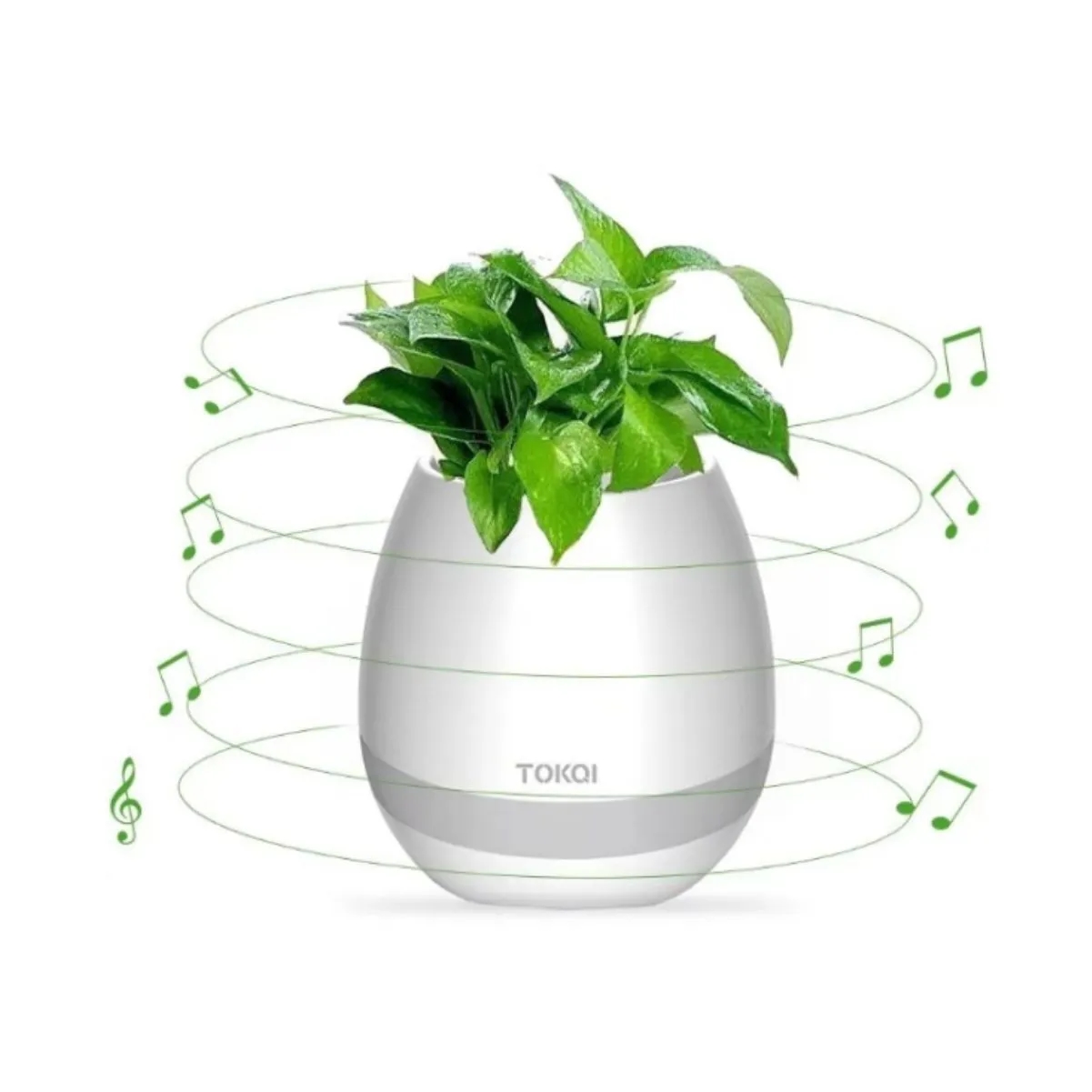 Bluetooth Music Planter With Touch Piano And RGB Light 2