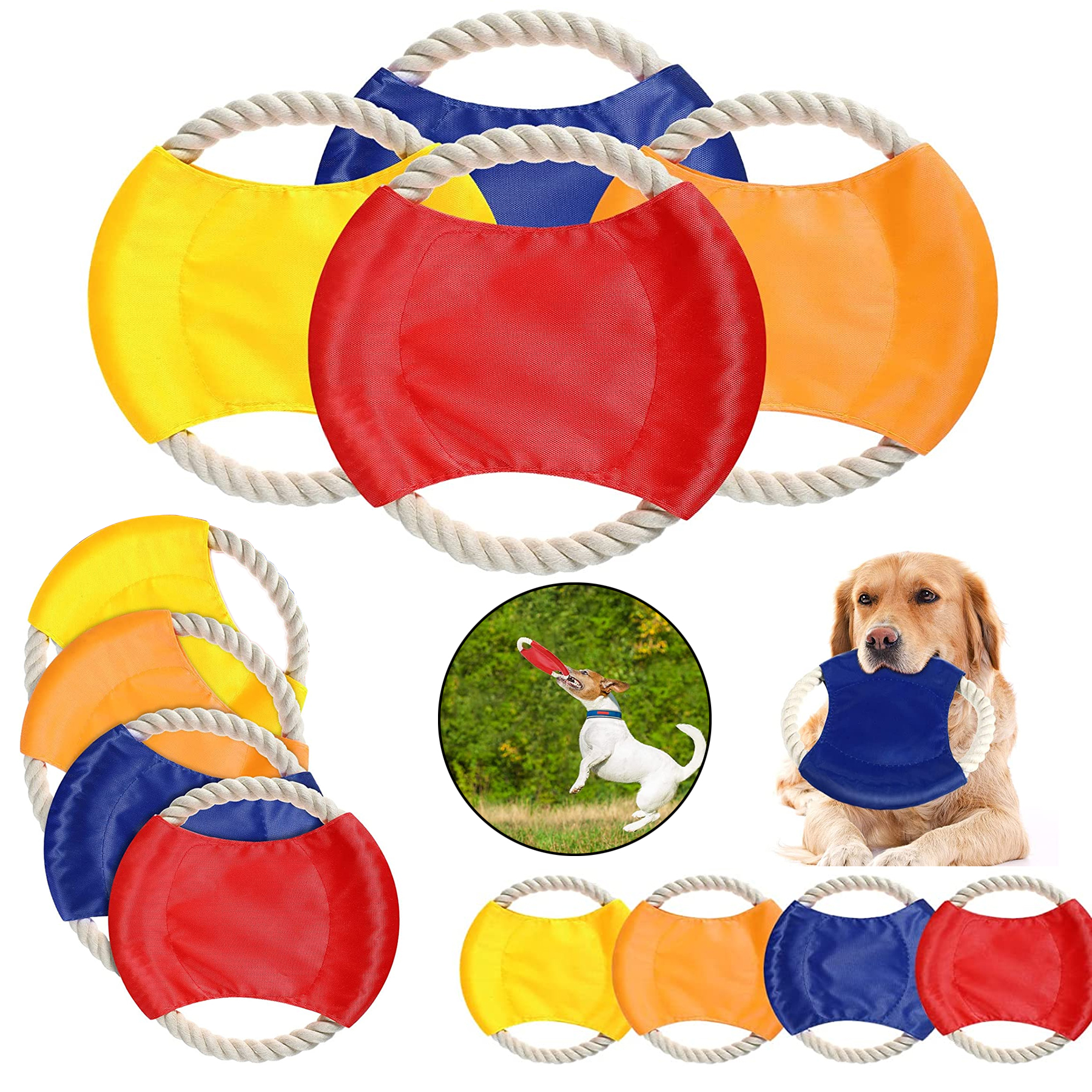 Pet Flying Disc 2