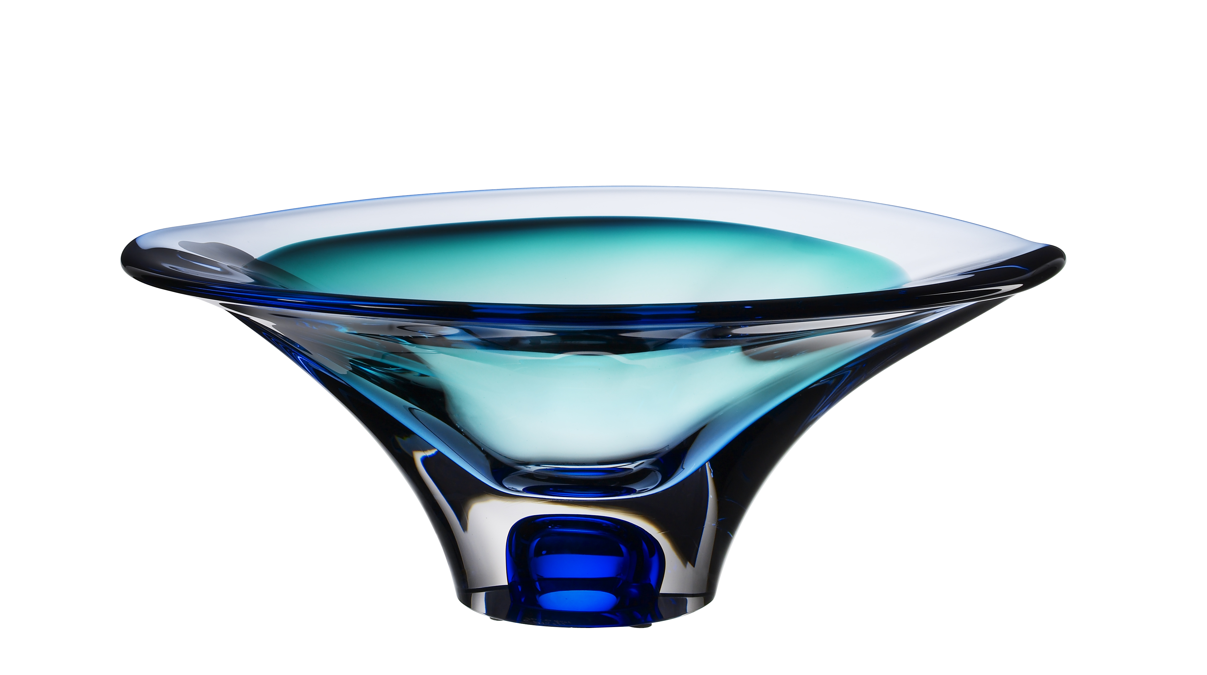 VISION BOWL BLUE 2