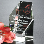 Citadel Award 4