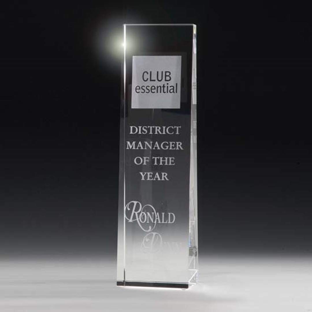 McKinley Tower Award 4