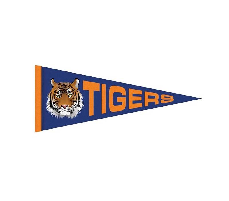 12" x 30" Full Color Felt Pennant Flag Banner with Strip 2