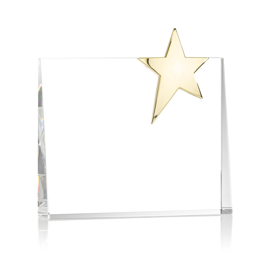 Bradenton Gold Star VividPrint™ Award 4