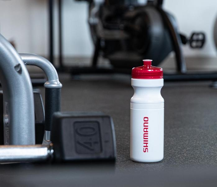 ACCONA 24 oz. PET Sports Bottle with Push/Pull Lid 42
