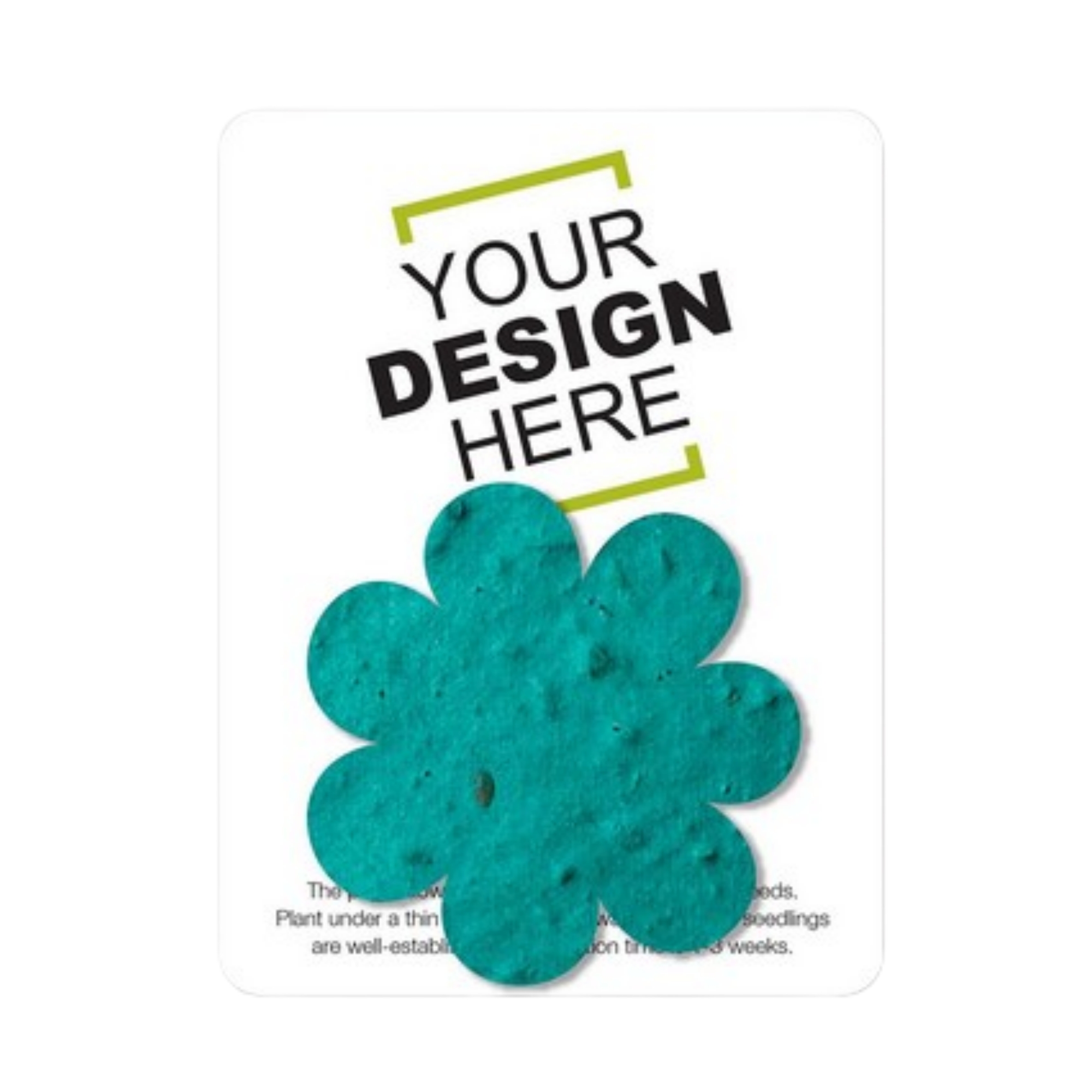 Handmade Seed Gift Pack Mini 2