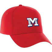 Unisex DOMINATE Ballcap 37