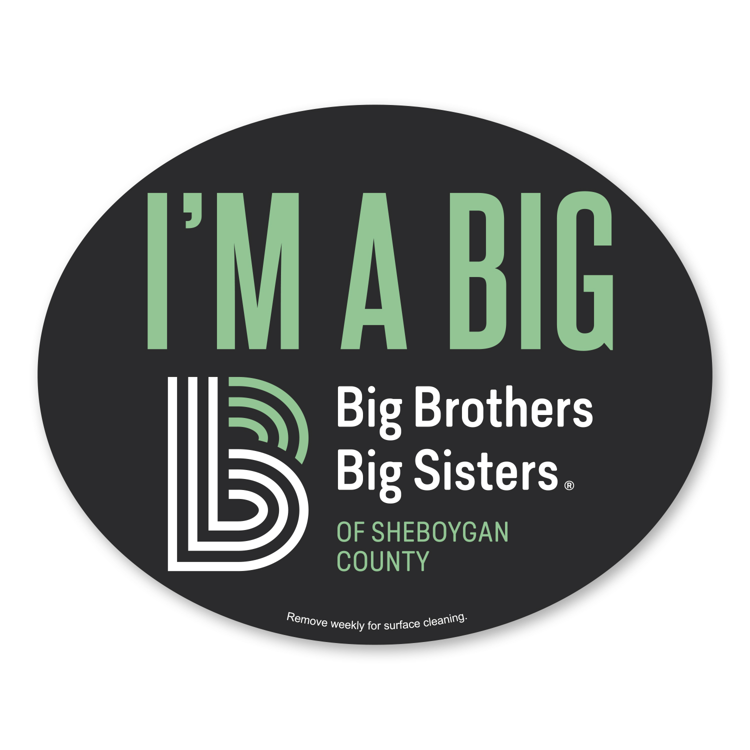 Car Sign Oval Magnet 5 x 4