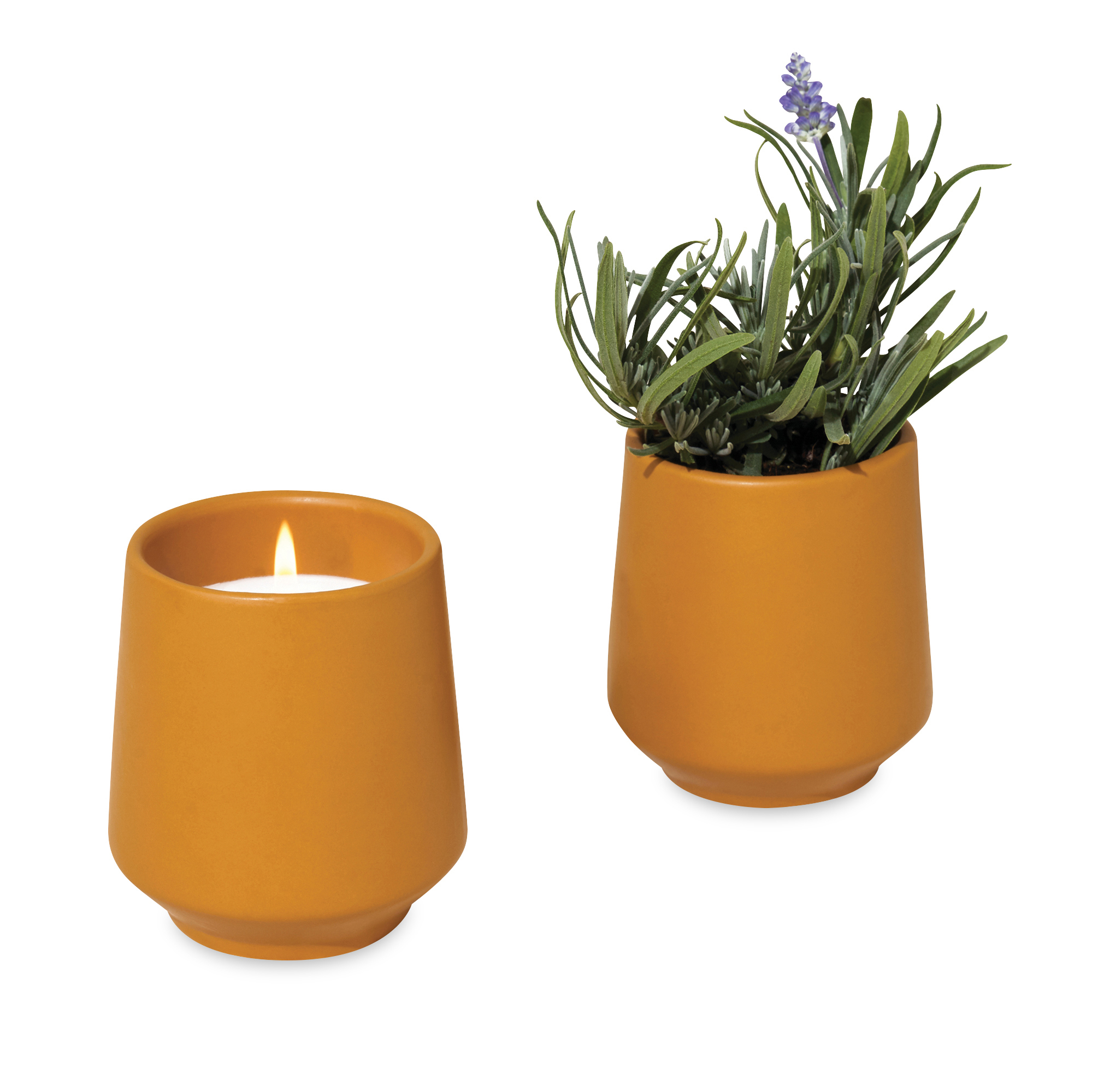 Modern Sprout® Rooted Candle 41