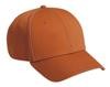 Embroidered Superior Cotton Twill Pro Caps 1