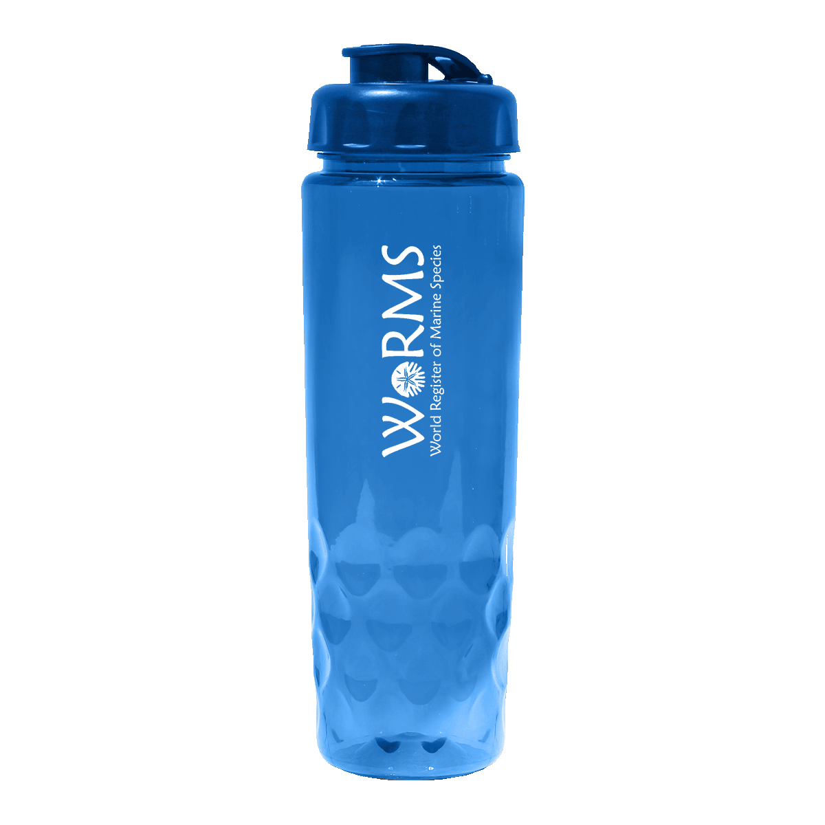 RECYCLED PET - 24 oz. Bottle with Flip Top Cap 4