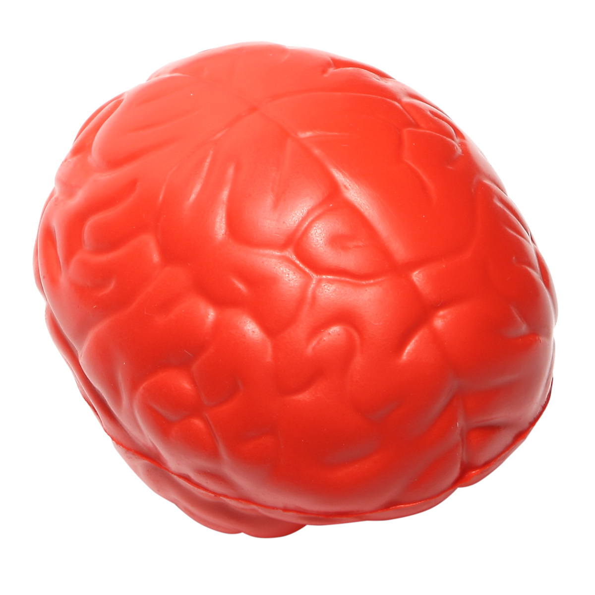 Brain Slo-Release Serenity Squishy™ 26