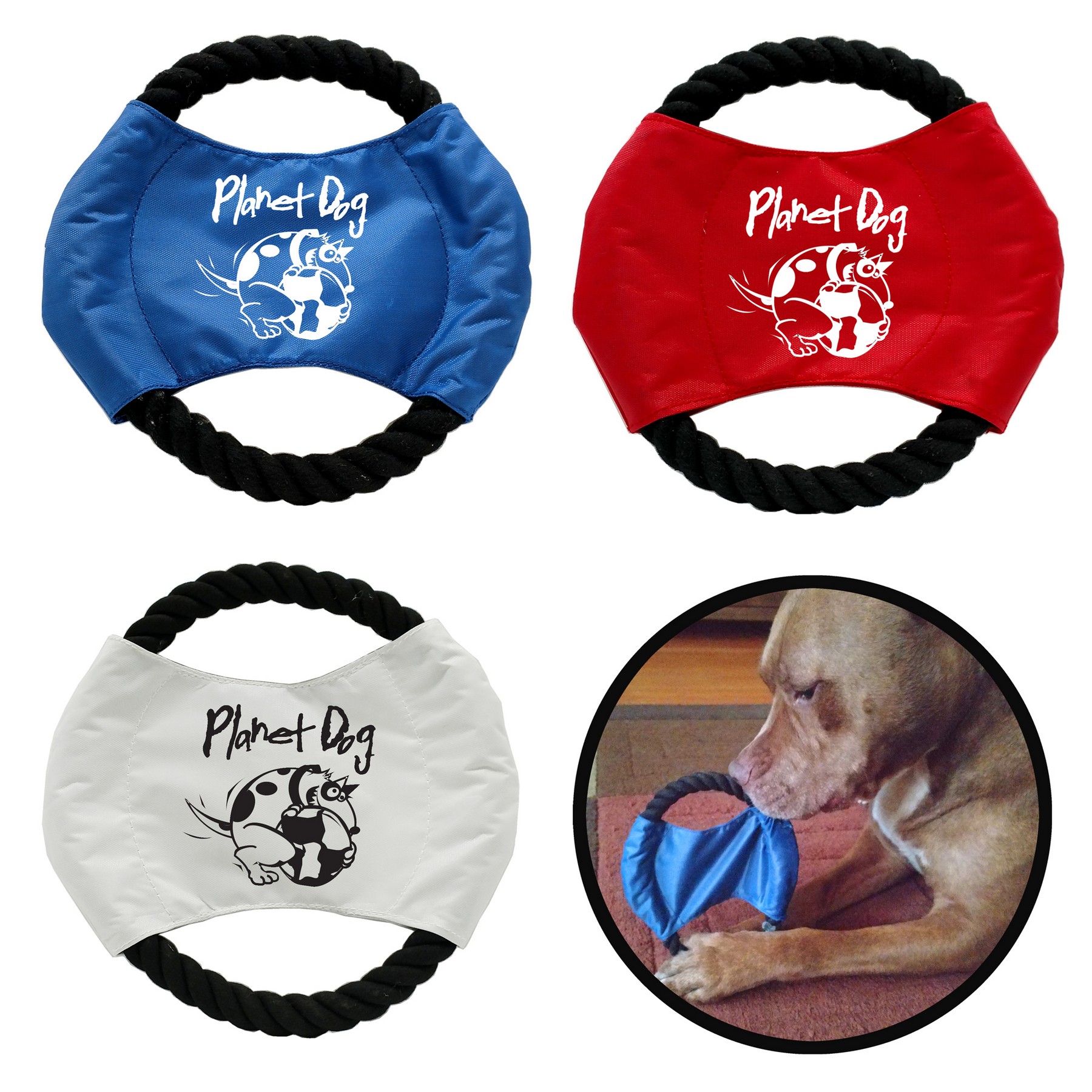 Dog Rope Flyer w/Black Trim 2