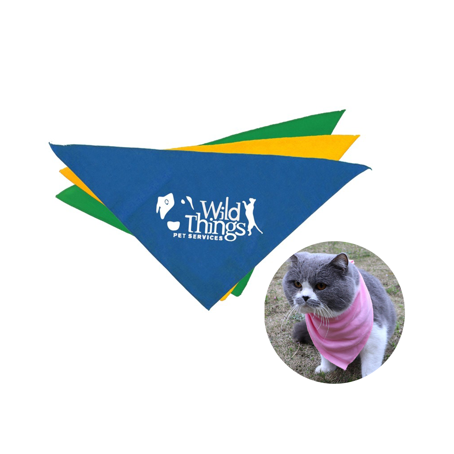 Small Pet Bandanna 2