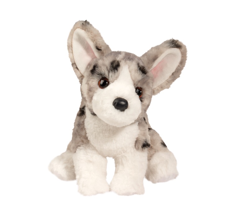 Codie Corgi Soft 2