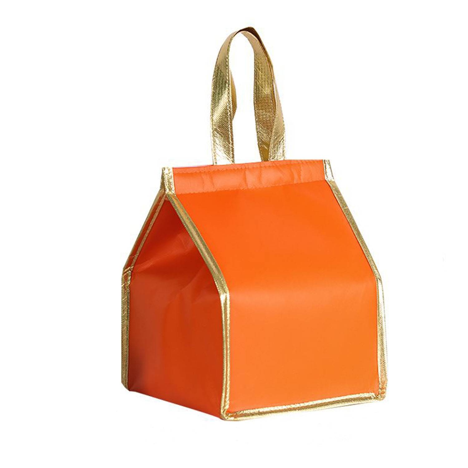 Aluminum Foil Insulation Bag 10