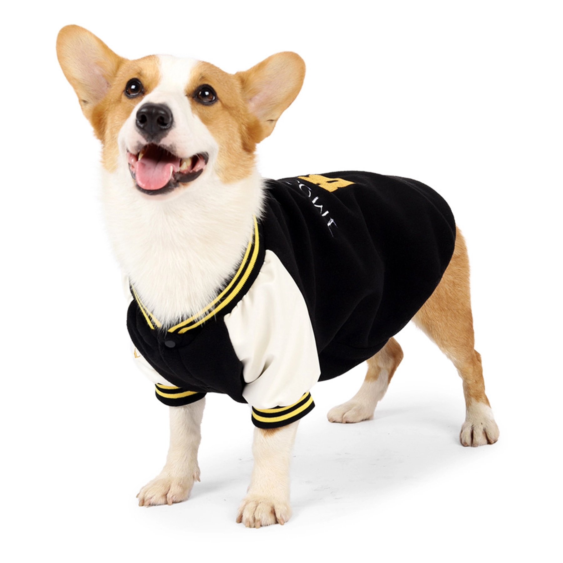 Small And Medium-Sized Dog Baseball Uniform 2