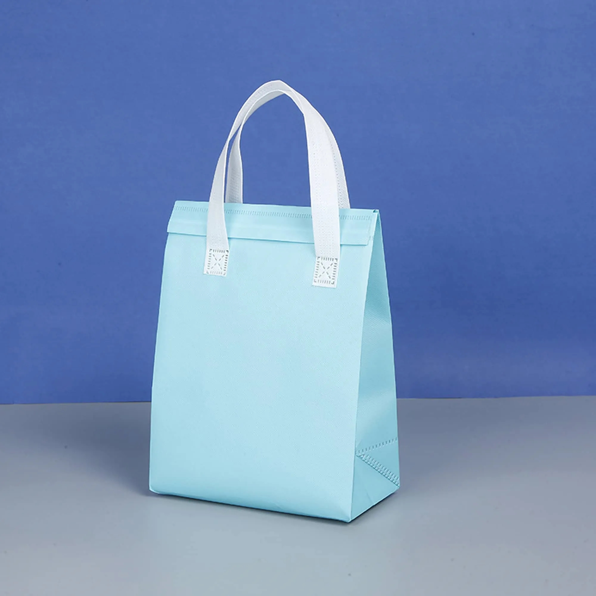 Insulated Tote Bag Multiple Sizes Available 5
