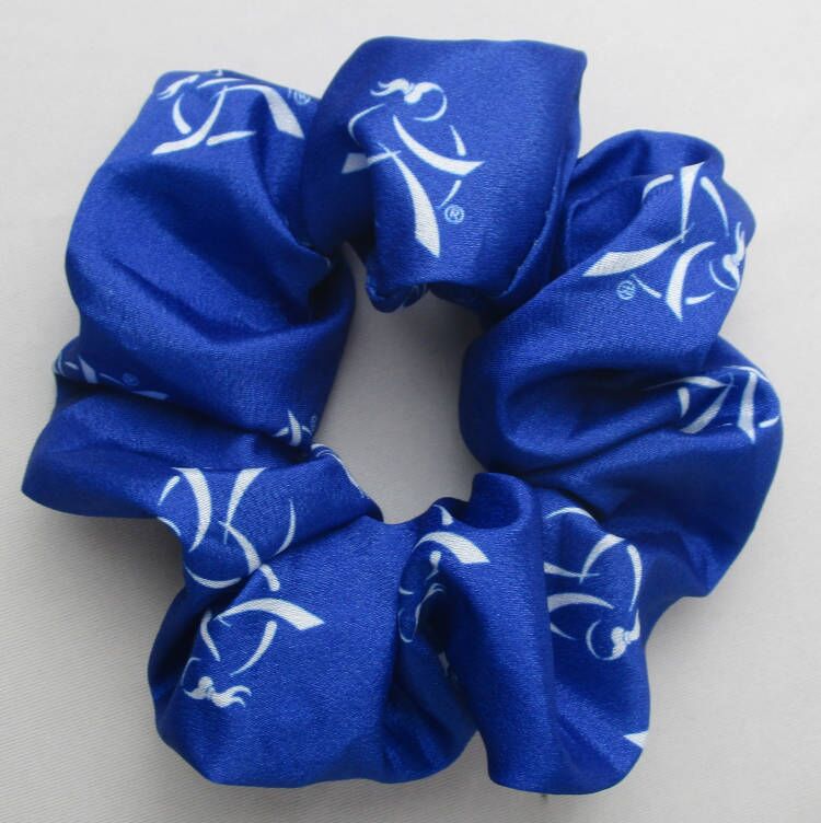 Scrunchies Chiffon Elastic Hair Ties/Bands/Bandana for Women 14