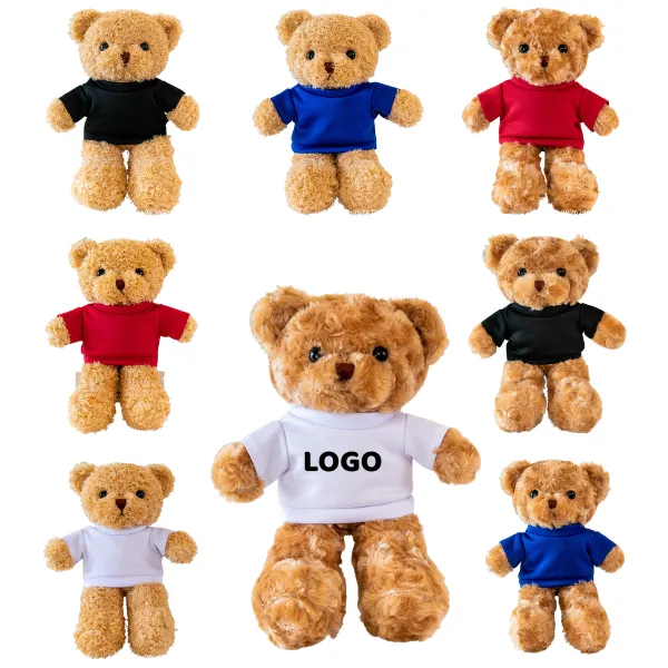Plush Bear with T-Shirt 2