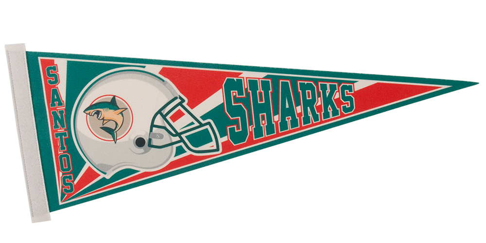 9" x 24" Premium Felt Pennant 13
