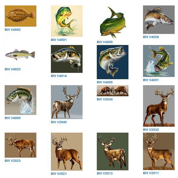 Coolers-Sportsman Series