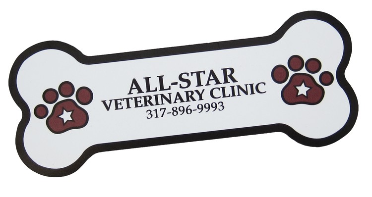 5" Bone Shaped Magnet