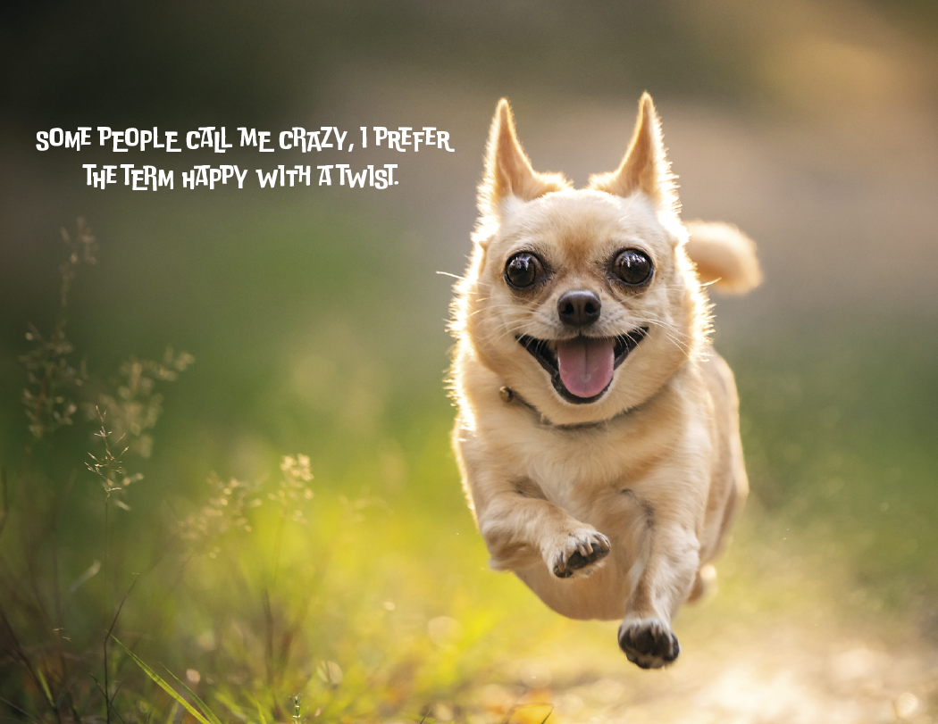 Good Value™ Pets with Attitude - Stapled Calendar 61