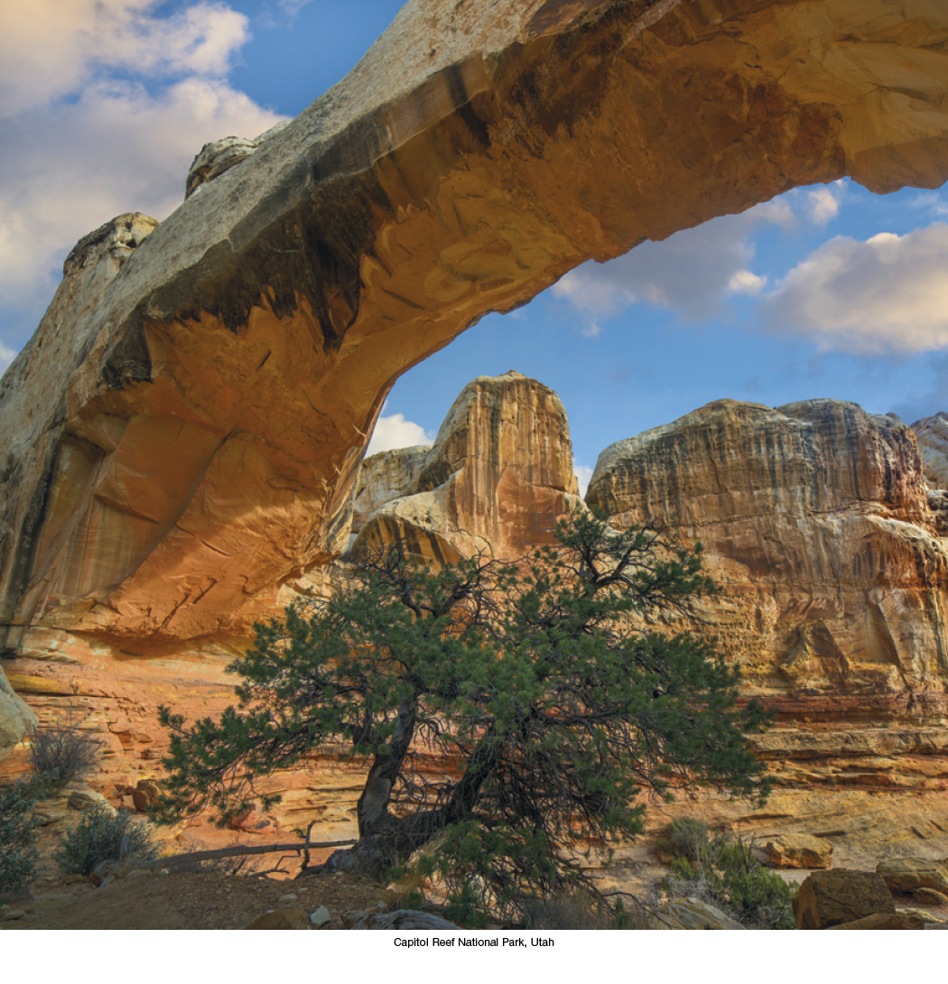 HotLine® Products Scenic America® Executive 31