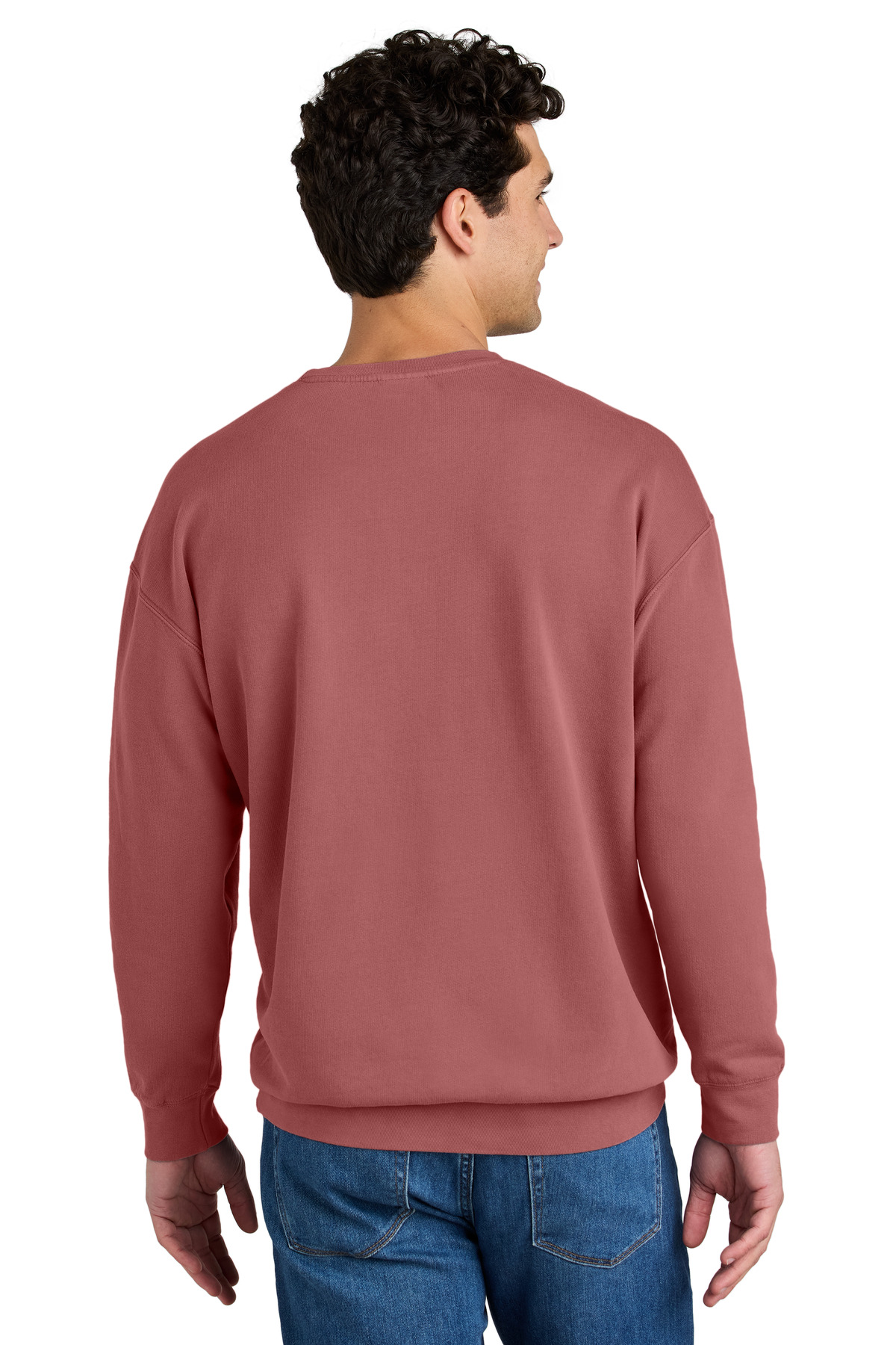 Comfort Colors Lightweight Crewneck Sweatshirt 1466 107