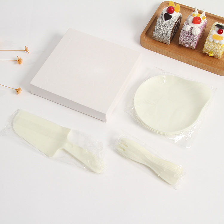 Disposable Plastic Cake Cutlery Set 2