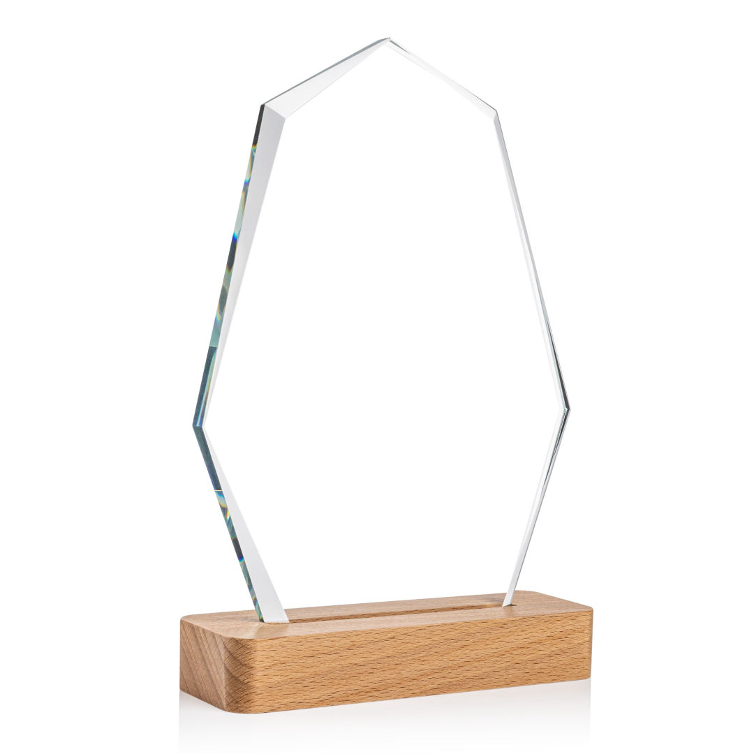 Andale Award 7