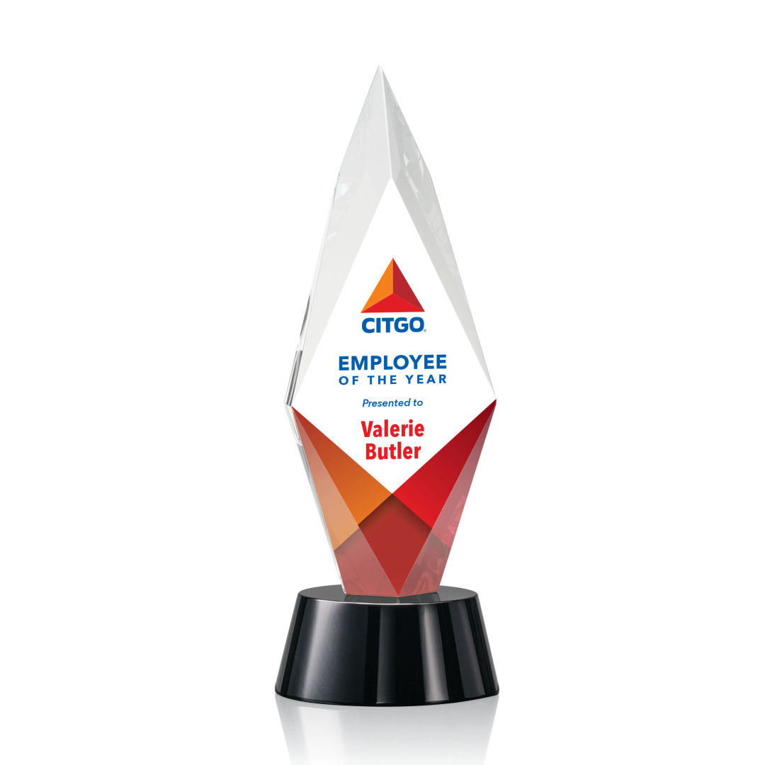 Manilow VividPrint™ Award 9