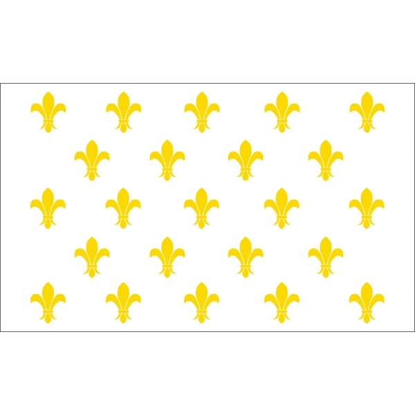 Special Historical Flags - Gold Fleur de Lis 2