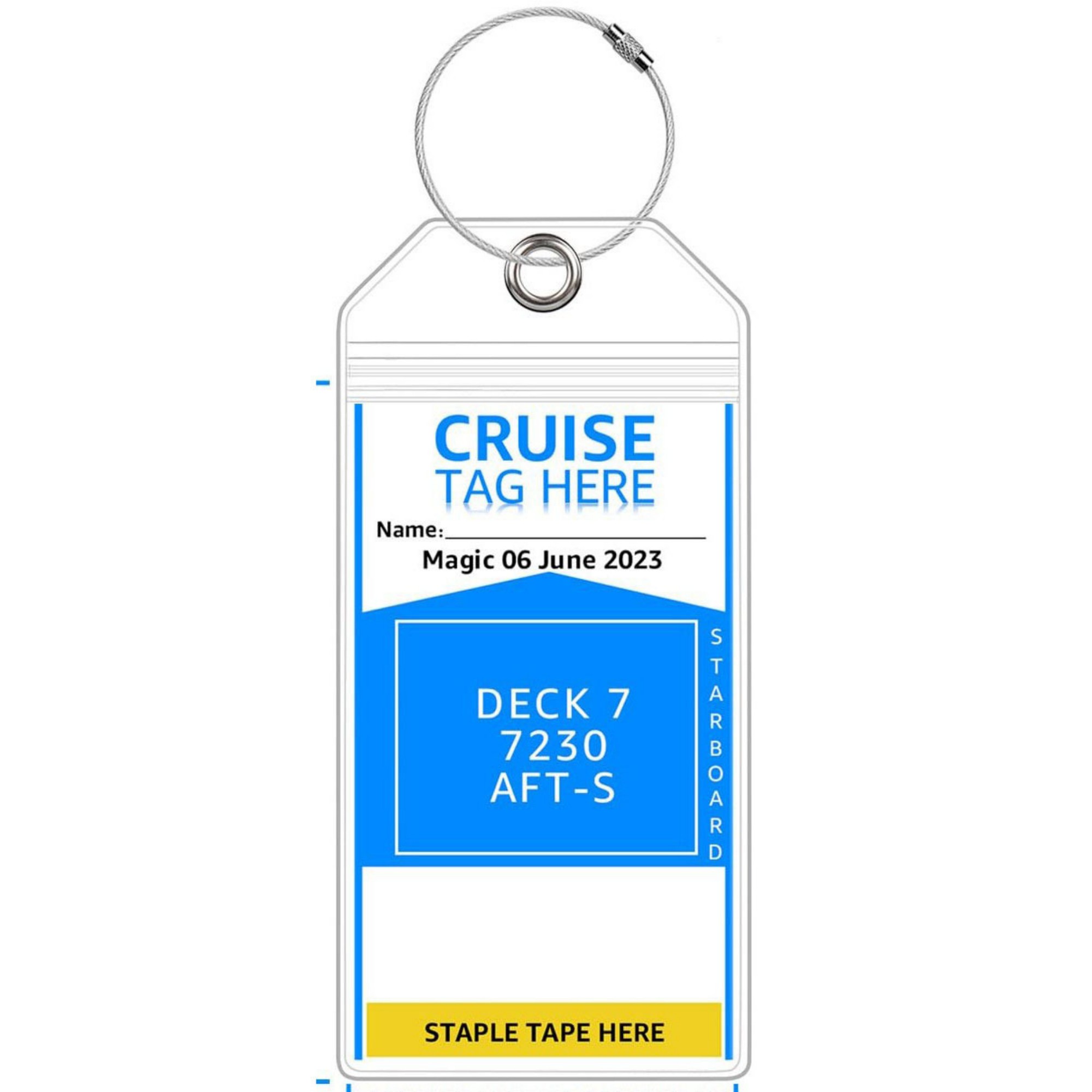 Vertical Clear Luggage Tag 5