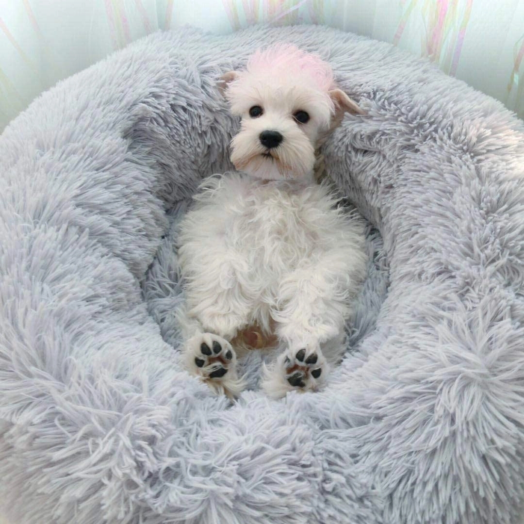 Donut Ultra Warm Pet Bed 10
