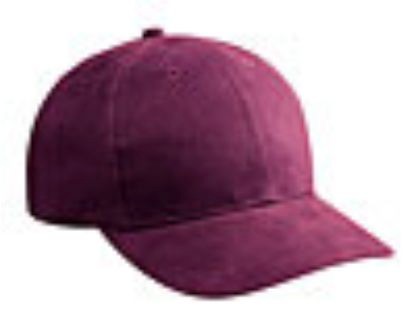 Embroidered Brushed Bull Denim Caps 2