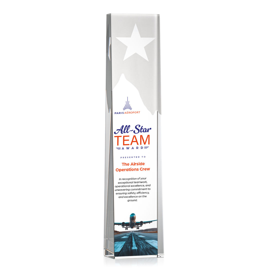 Artemus Star VividPrint™ Award 12