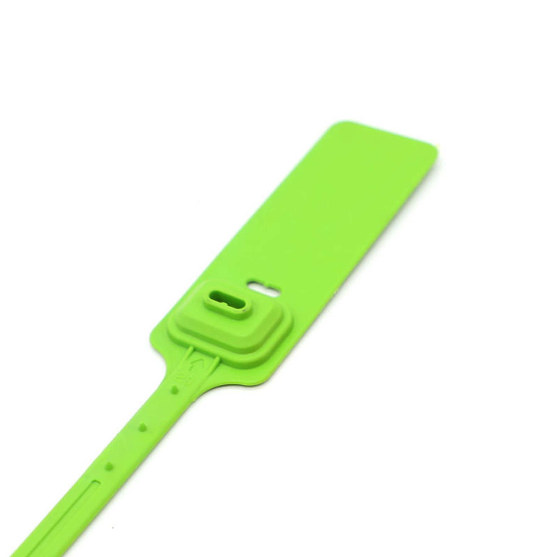Disposable Tag Plastic Seal 3