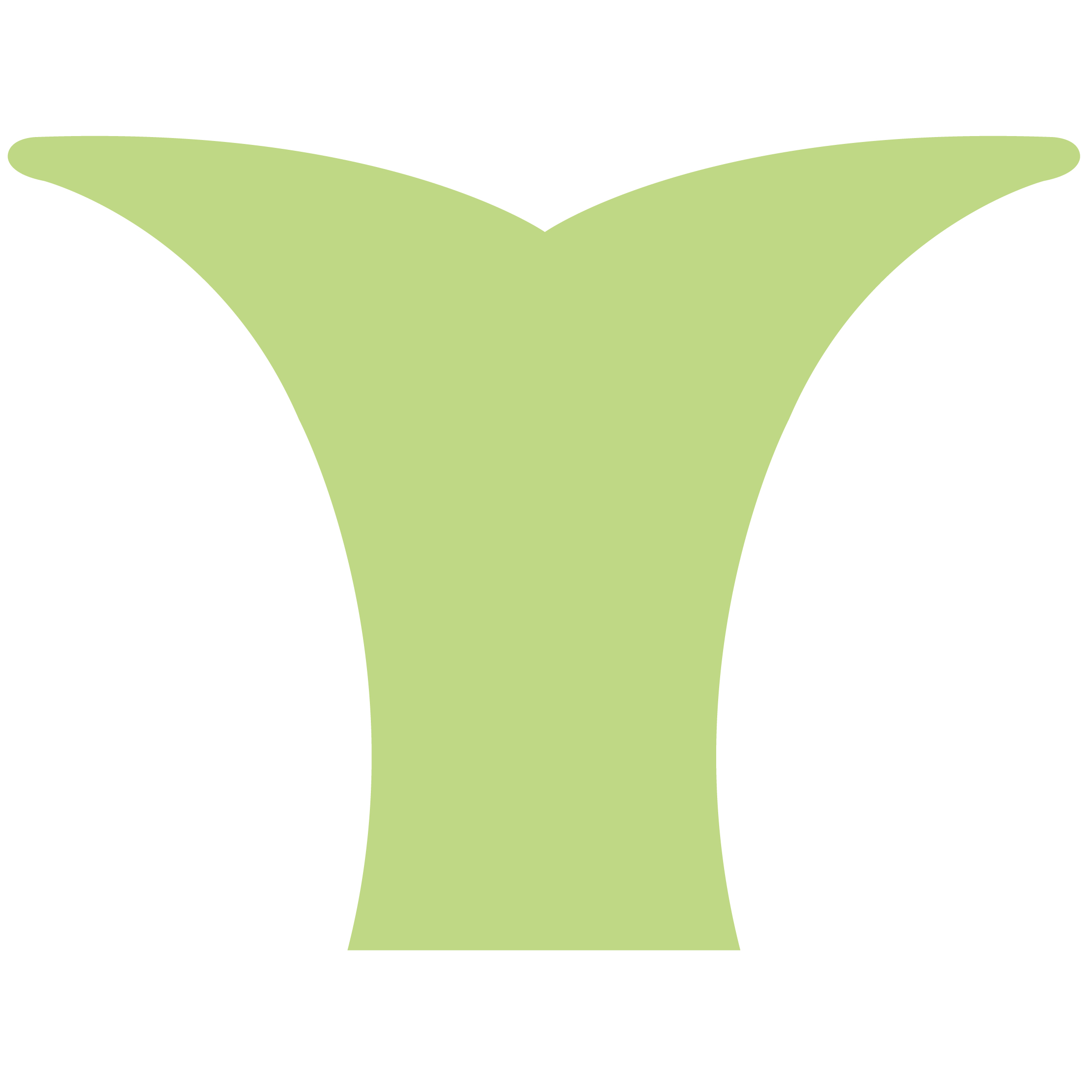 Whale Tail 27