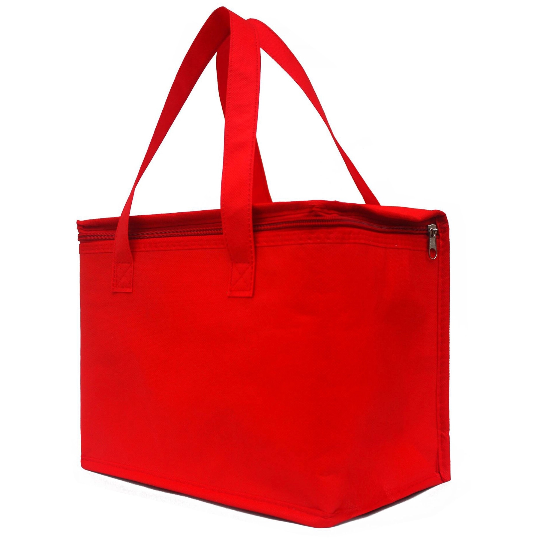 Picnic Insulated Ice Pack 2