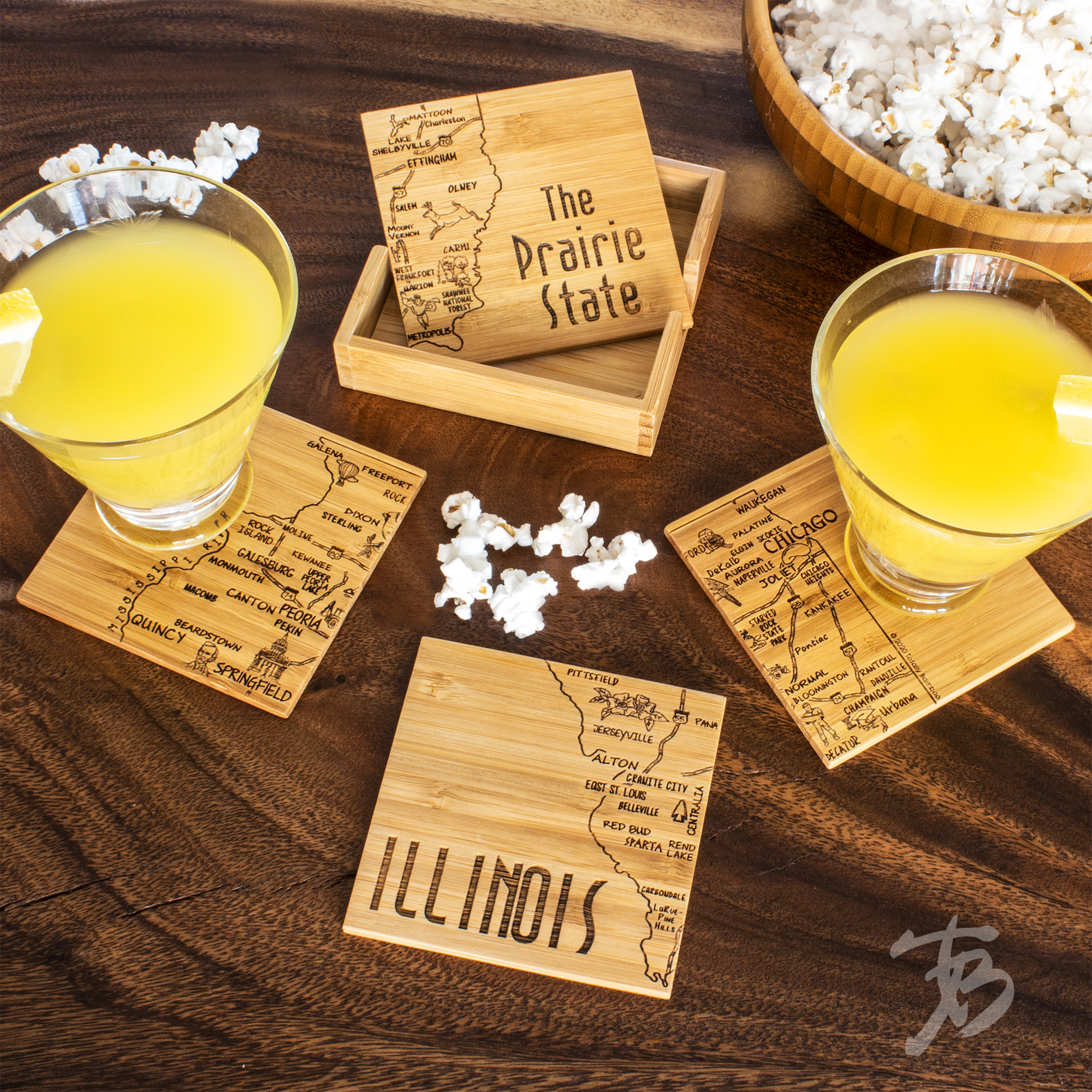 Illinois Puzzle Coaster Set 5