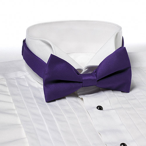 Purple Banded Bow Tie 2