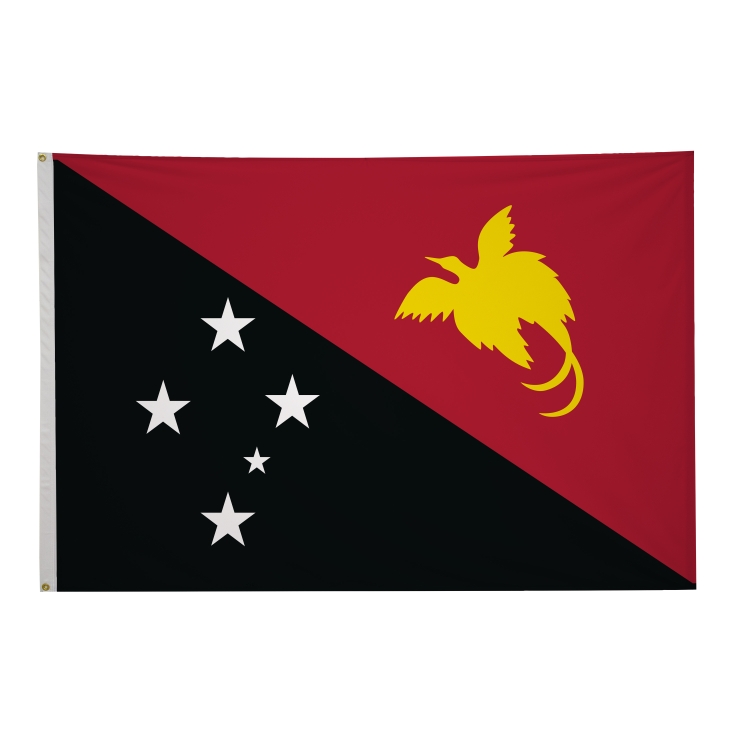 4' x 6' International Flags 129