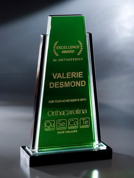 Artistic Expressions Crystal Palms Award 2