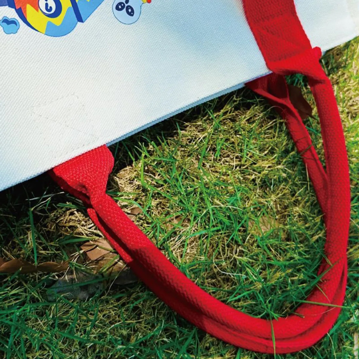 Canvas Bag With Ribbon Tote Exhibition Can Be Customized 7