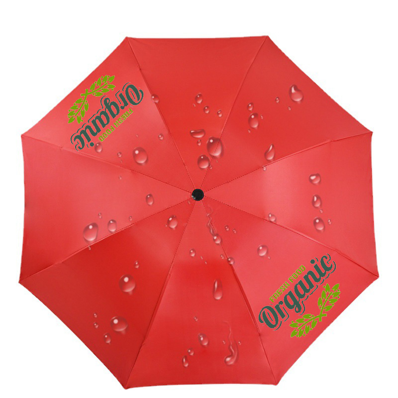 Rain And Sunshine Umbrella 6