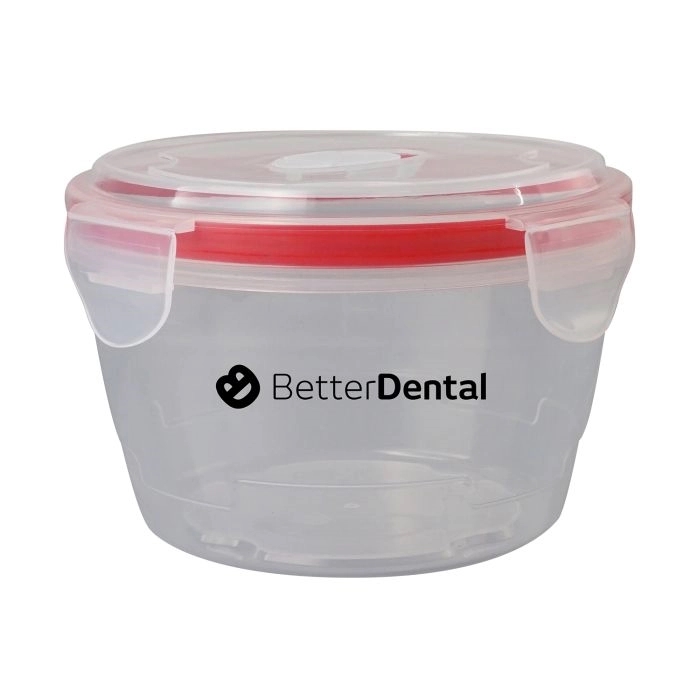 LARGE LOCKING LID BOWL 10