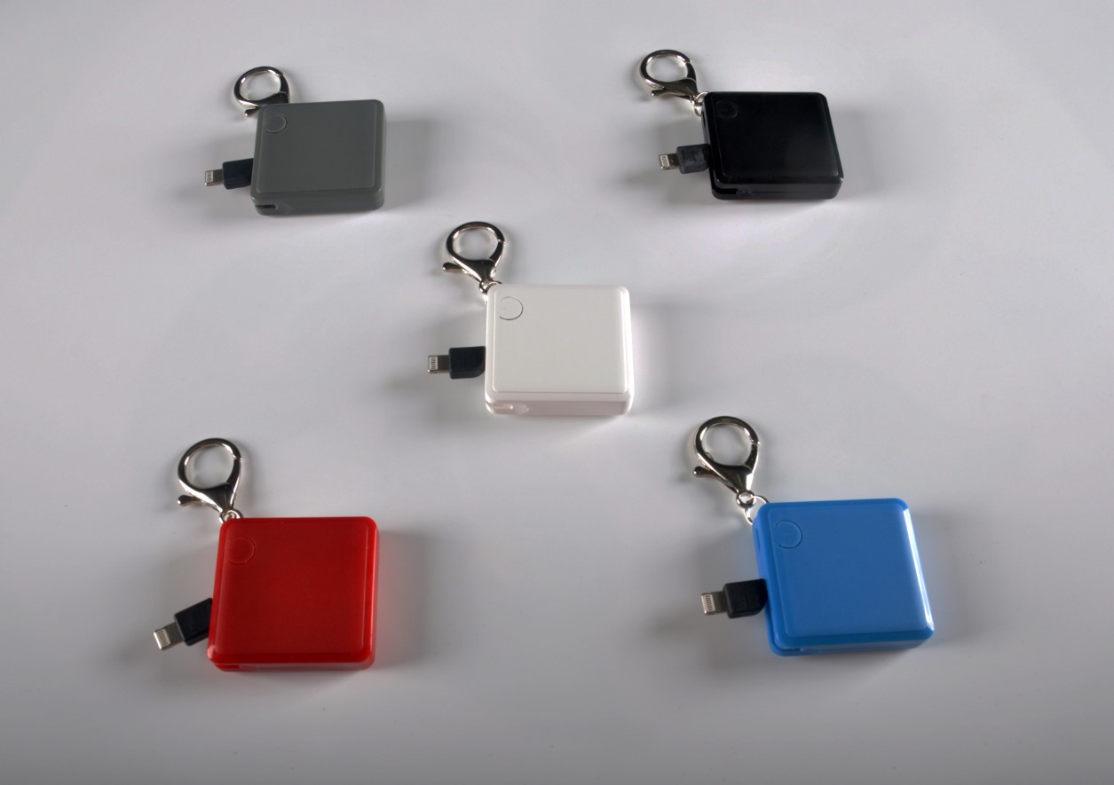 Mini Key Chain Power Bank w/ 2 in 1 Cable 5